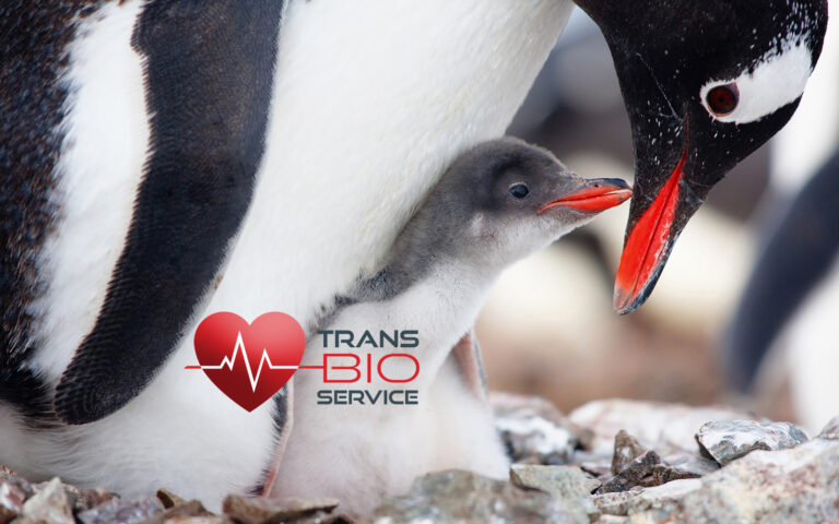 Trans Bio Service